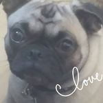 Sabrina Erickson - @sabrina.erickson.102 - Instagram