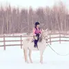 Sabrina grenier roy  - @sab_roy_xox - TikTok