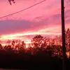 Sabrina Guy - @sabrina.guy4 - TikTok