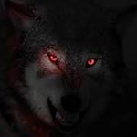 Sabrina Harper - @wolf_pup05 - Instagram