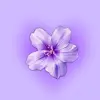 Sabrina heper✨️ - @sabrina_heper - TikTok