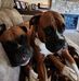Sabrina Sibley Hicks - Facebook
