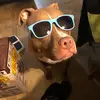 Sabrina Howard - @sabrinahoward05 - TikTok