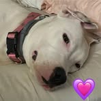 Sabrina Kirkpatrick - Facebook