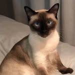 Sabrina Kyle Carbonel - @sab_carbonel - Instagram
