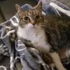 Sabrina Larson - @sabrina.larson6 - TikTok