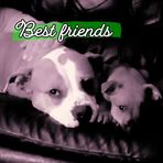 Sabrina Long - Facebook