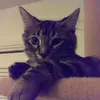 sabrinamcclellan1 - @lillym768 - TikTok