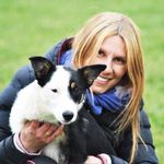 Sabrina pace - @sabrivipsheepdog - Instagram