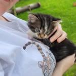 Sabrina Peyton - @crazy_cat_lady_502 - Instagram