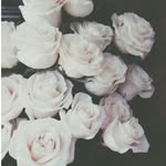 Sabrina Rucker - @biene_xd__3 - Instagram