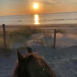 Sabrina Sauer - @sauer1980 - Instagram