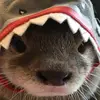 Sabrina - @sabrinaschick01 - TikTok