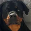 sabrina_short - @sabrina_short0 - TikTok