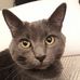 Sabrina Stepp - Facebook