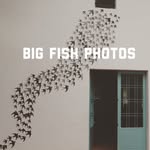 Sabrina Stratton - @bigfishphotos.sg - Instagram