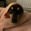 Sabrina Wills - @sabrinawills - TikTok