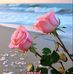 Sabu John - Facebook