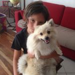 Sacha Rodriguez - @passion_mot_fou34 - Instagram