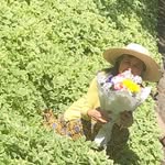 Sachiko Ogura Smith - @instabae.ballard - Instagram
