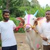 Sachin Chavan - @sachinchavan8055 - TikTok