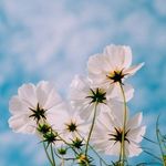 Sadaf Farid Khan - @khansadaffarid - Instagram