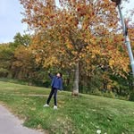 Sadaf Munir - @sadafmunir806 - Instagram