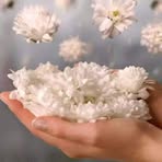 Sadaf Munir - Facebook