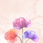 Sadaf Munir - Facebook