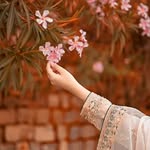 sadaf Rizwan - @sadafrizwan904 - Instagram