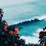 Sadaf Rizwan - @sadafrizwan._ - Instagram