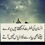 Sadaf Rizwan - @sadaf.rizwan.39948 - Instagram