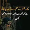 Sadafshah - @sadafshah233 - TikTok