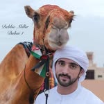 Sadam Memon - @sadam.memon.3517 - Instagram