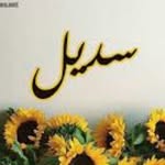 sadeel - @sadeel_imad - Instagram