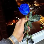 sadeel_sholdom - @sadeel_iisho - Instagram
