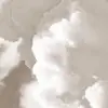 Sade ❤️ - @sade.evans1 - TikTok