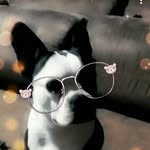 Smiley Sade - @smiley_sade17 - Instagram