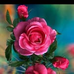 sadegh Hatami - @sade_ghhatami - Instagram