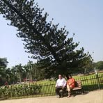 Sadhna Mohan - Facebook