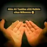 Sadi Mohammed - @saadiimohmed - Instagram
