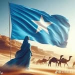 Sadia Abdullahi - @sadia.abdullahi.568 - Instagram