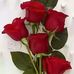 Sadia Afrin - Facebook