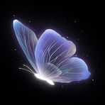 Sadia Azmi - Facebook