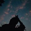Sadia Azmi - @sadia.azmi6 - TikTok