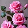 Sadia Castillo - @sadia.castillo4 - TikTok
