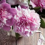 Sadia Farhana - @sadia.farhana.7712 - Instagram