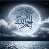 Sadia Fatima - @sadia.fatima14 - TikTok