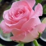 Sadia Fatima - @sadia.fatima_ - Instagram