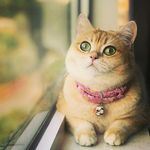 Sadia Ferdous - @ferdous_sadia - Instagram